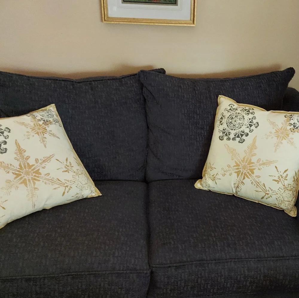 LIKE NEW Vintage Luxe Holiday Throw Pillow Set of 2! Gold Foil & Neutral
